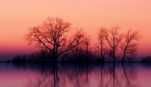 欢迎在宝塔面板安装Z-BlogPHP！