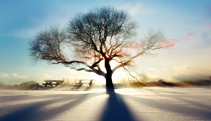 欢迎在宝塔面板安装Z-BlogPHP！