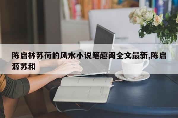 陈启林苏荷的风水小说笔趣阁全文最新,陈启源苏和