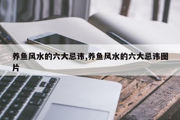 养鱼风水的六大忌讳,养鱼风水的六大忌讳图片