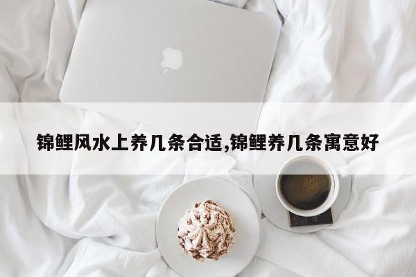 锦鲤风水上养几条合适,锦鲤养几条寓意好