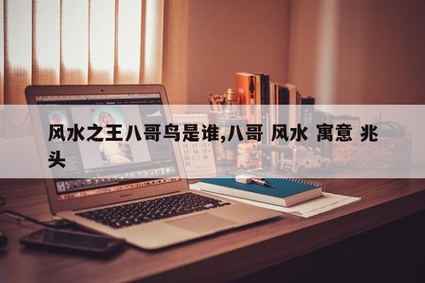 风水之王八哥鸟是谁,八哥 风水 寓意 兆头